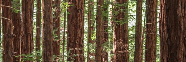 victorstuber Profile Banner