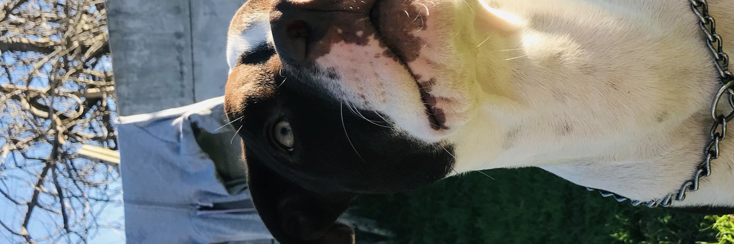 GJuanaaa's profile banner image