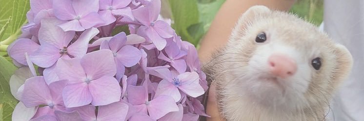 machako9815's profile banner image