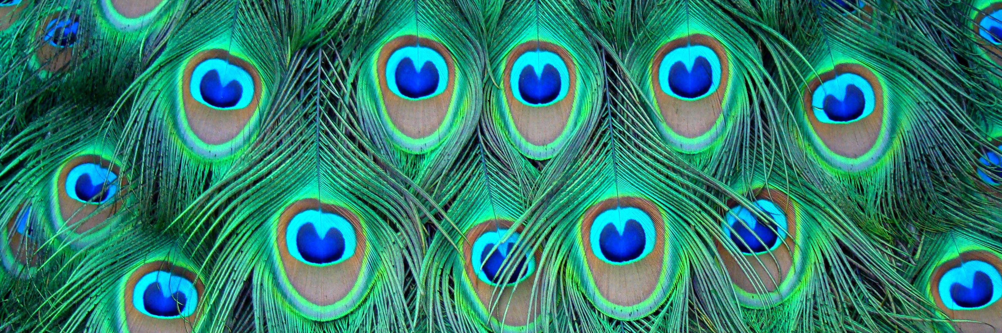 mitchfoster's profile banner image