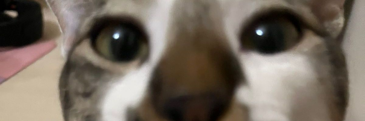 brunohmel's profile banner image