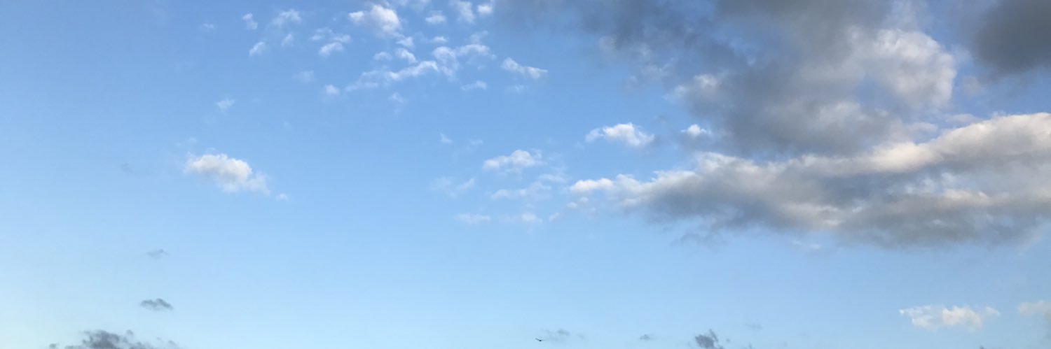 io_s2_io's profile banner image