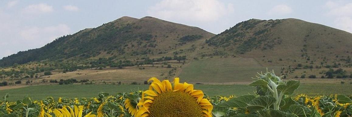 elcerny's profile banner image