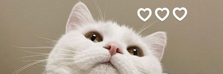 adilaalien's profile banner image