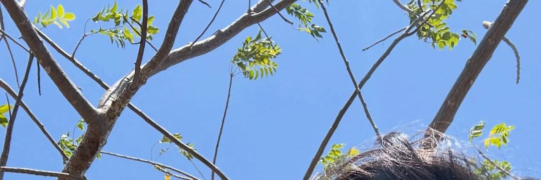 HarisAlraafi's profile banner image