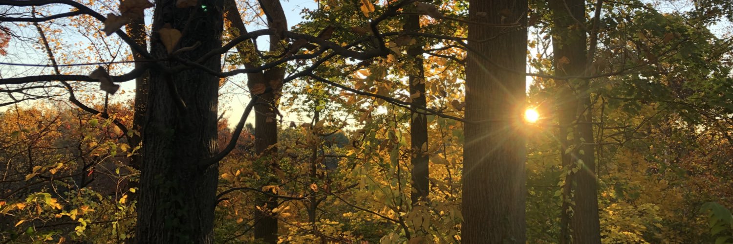 ⭐️ Sarah Scar ⭐️ banner