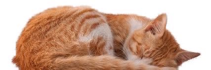 d: banner