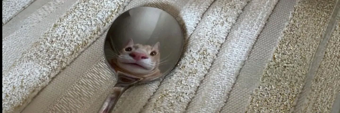 TreeYuFish's profile banner image