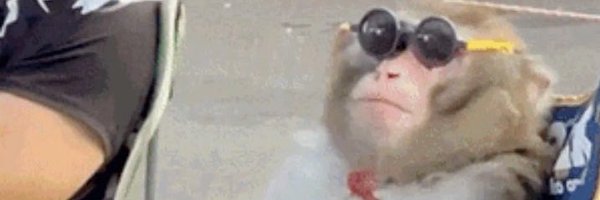 limoto5 Profile Banner