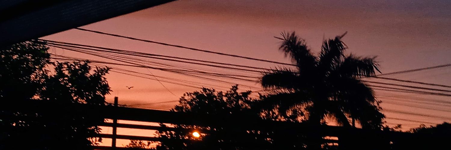 verito_all's profile banner image