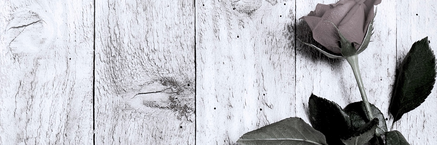 empointzero's profile banner image