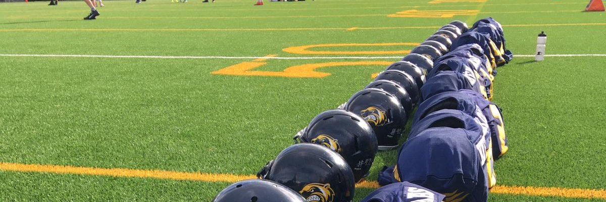 Löfgrenin Kaide🇫🇮🇪🇺 🇺🇦🏳️‍🌈 banner