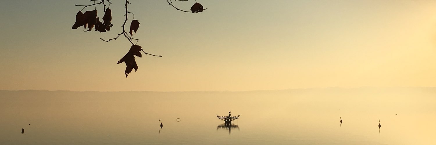 fatamelusina's profile banner image
