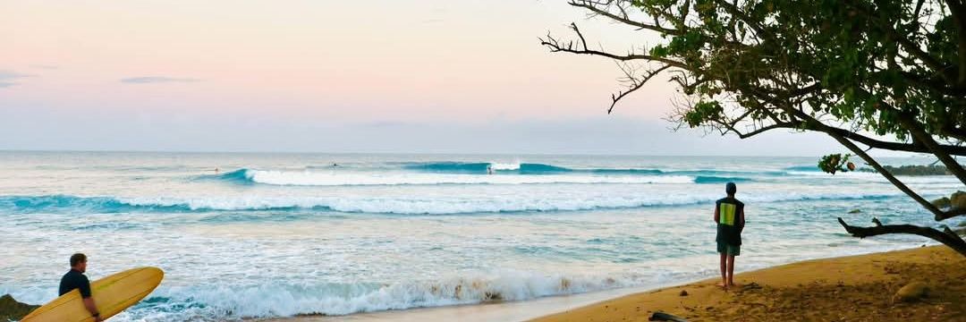 Fēicháng Fuyou💰Zǒngdū 🐕Mìfēng 🐝 banner