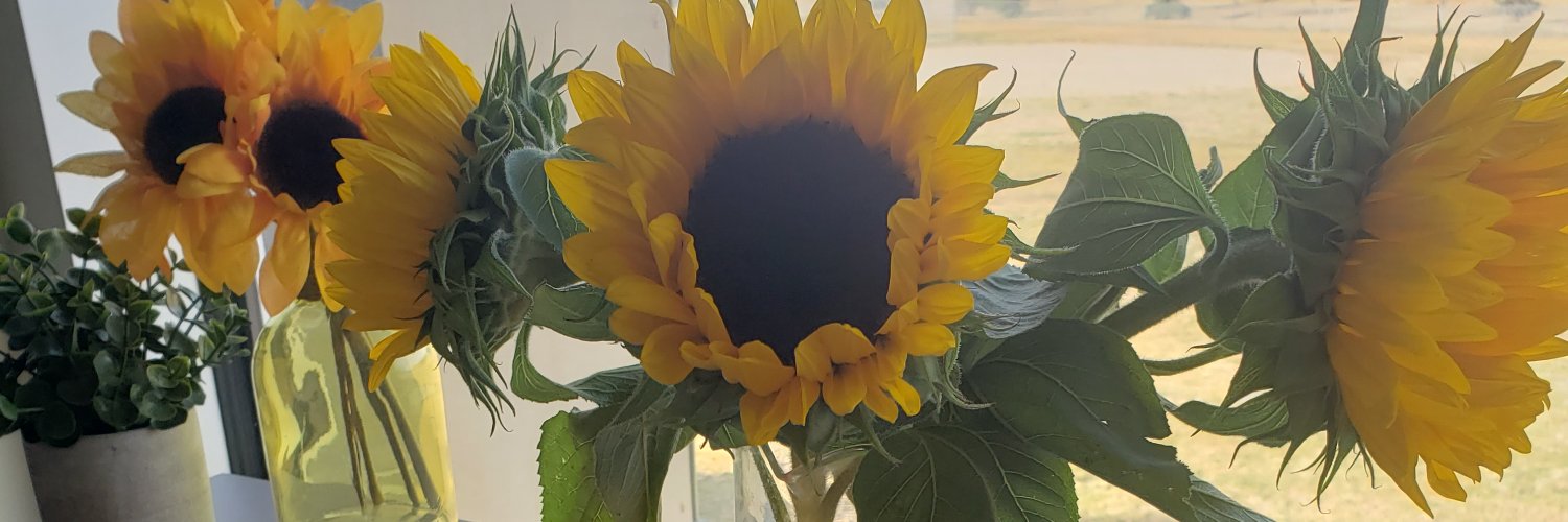 Amy (Lawson) Empringham banner