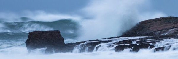 shenoystanford Profile Banner