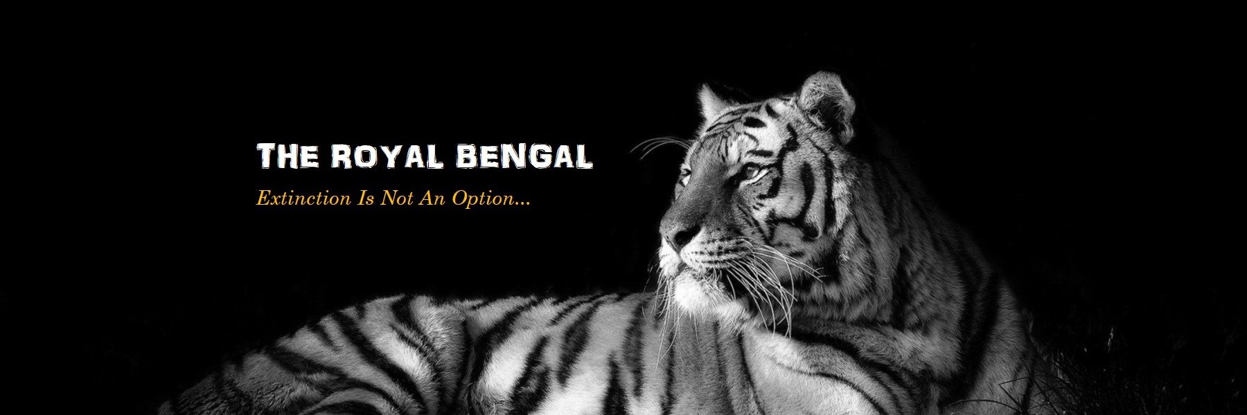 Nitin Kumar - The Royal Bengal banner