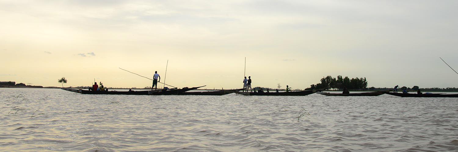 岩崎有一 / Yuichi IWASAKI banner