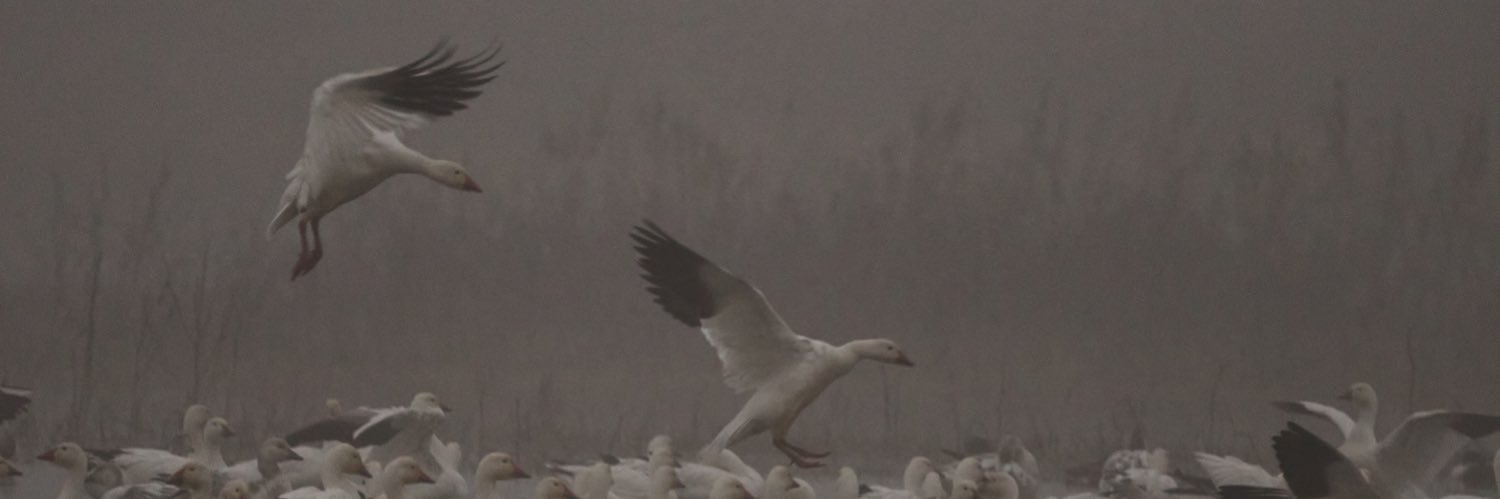 Ramprakash Ram Mohan banner