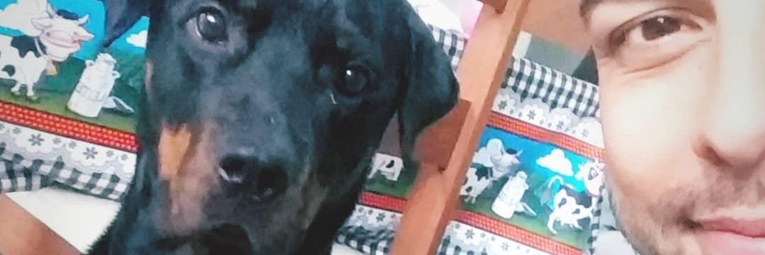diegodahcam's profile banner image