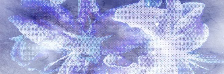 fy9iuz's profile banner image