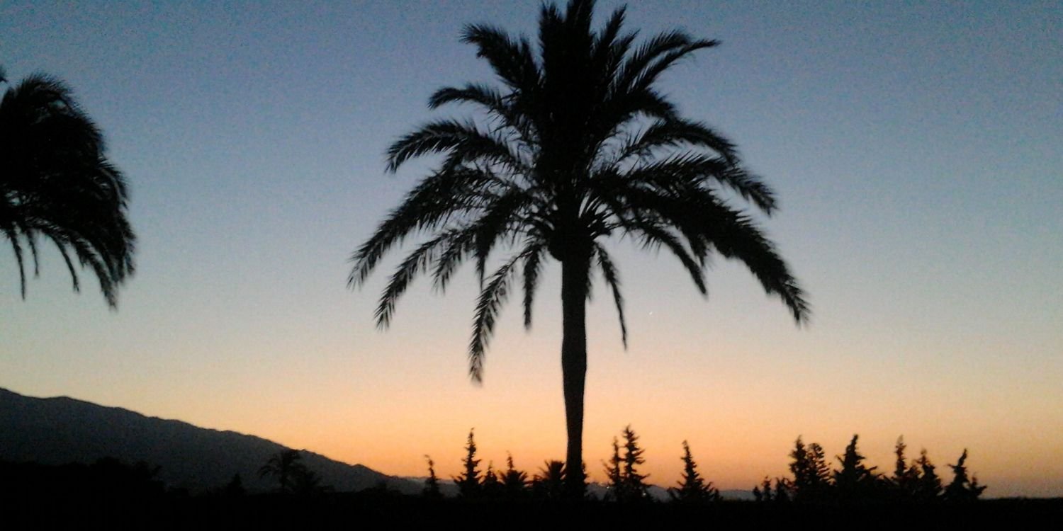 javi_chaves's profile banner image