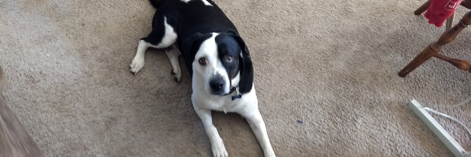 Conrad Verner N7 banner