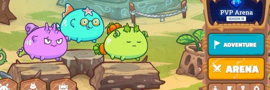Anne💚 banner