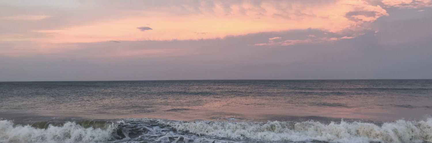 NicoleNov_'s profile banner image
