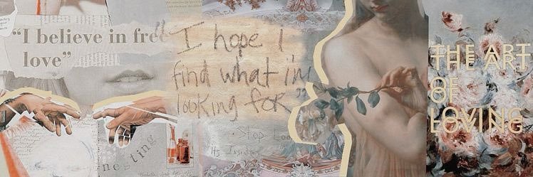 karinahanosh's profile banner image