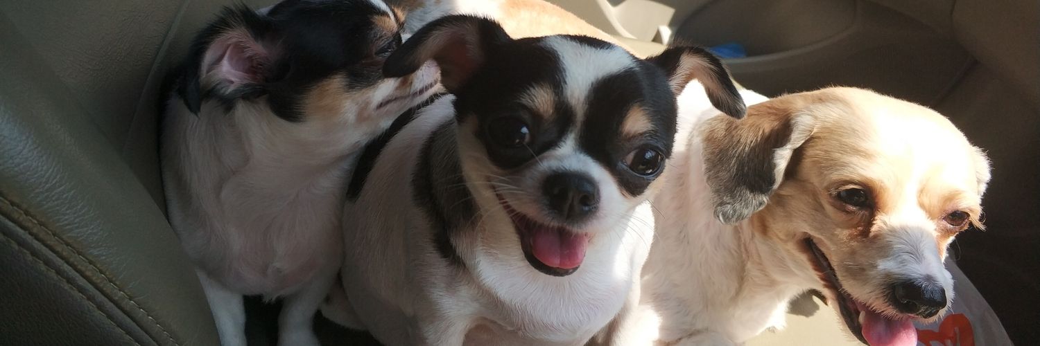 supamas's profile banner image