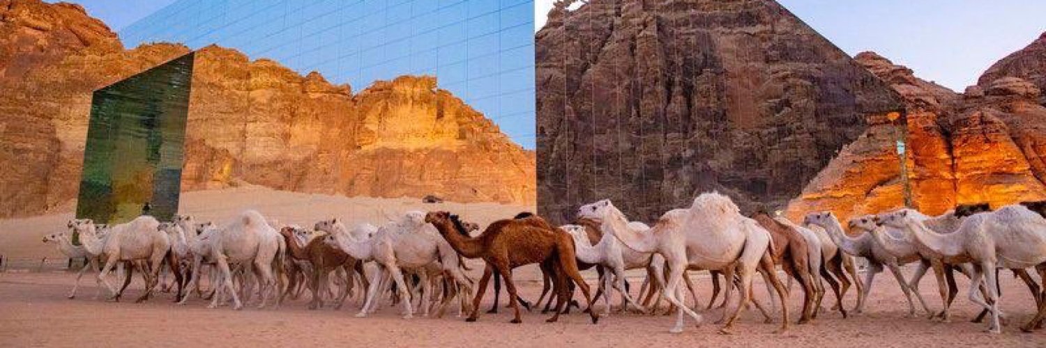 A girl has no name banner