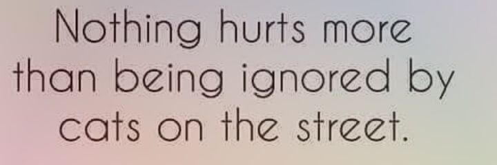 Sam Stanier OP81 💜 banner