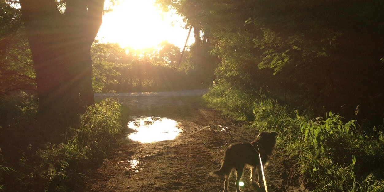 jankolauterbach's profile banner image