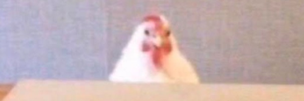 sheypooett's profile banner image