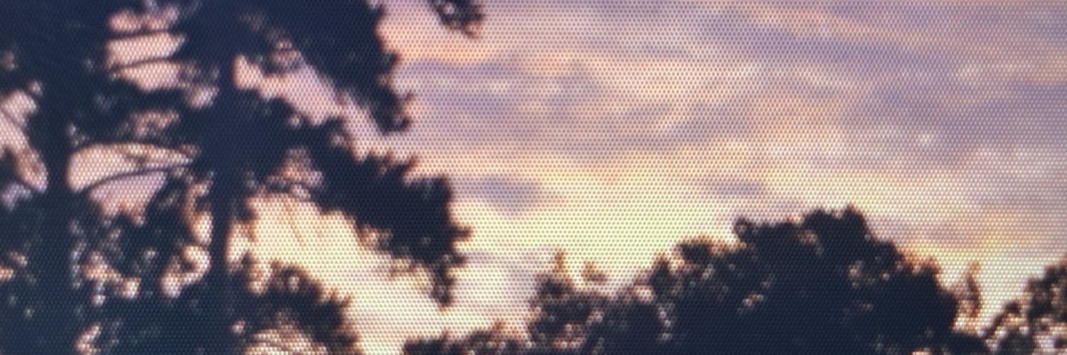 ryanlikesdnp's profile banner image