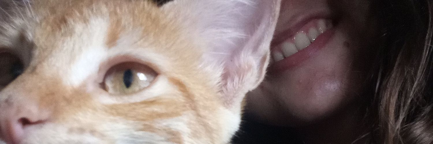 _AriLG_'s profile banner image