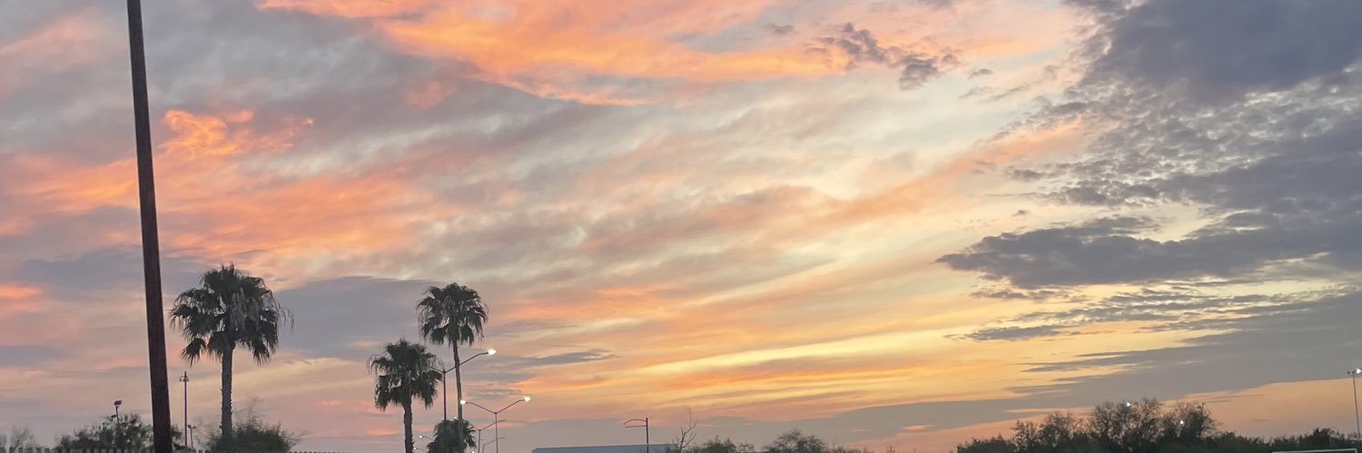 friditaxd18's profile banner image