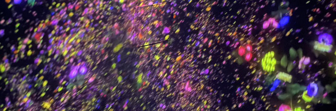 aa_ii503's profile banner image