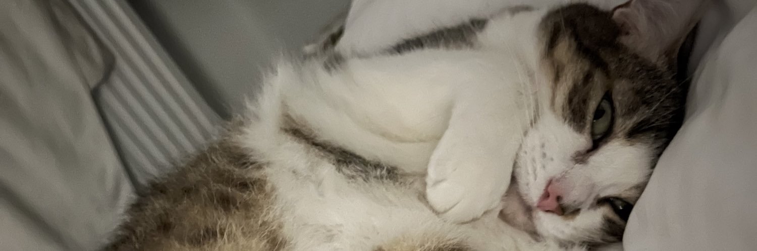 𝙵𝚛𝚊𝚗𝚔 𝙷𝚊𝚒𝚜𝚎 𝚁𝙿 banner