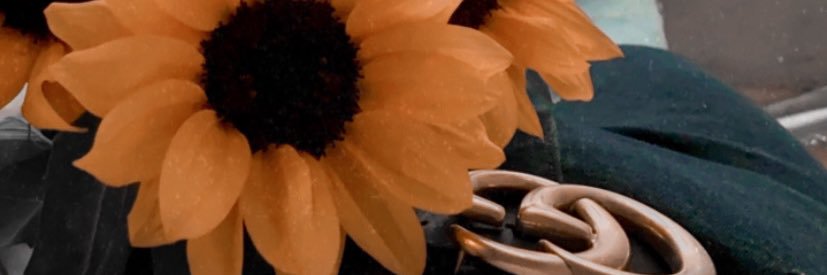 SakuraDaPatra's profile banner image