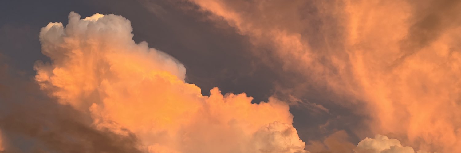Moonlitnightcat's profile banner image