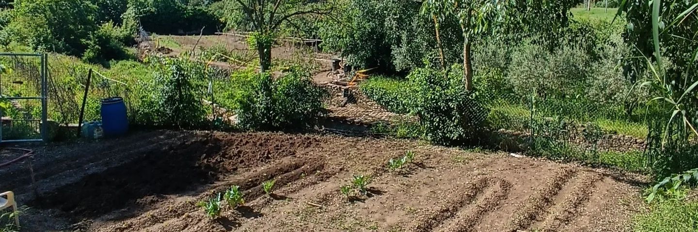 Josep Anton Massagué banner