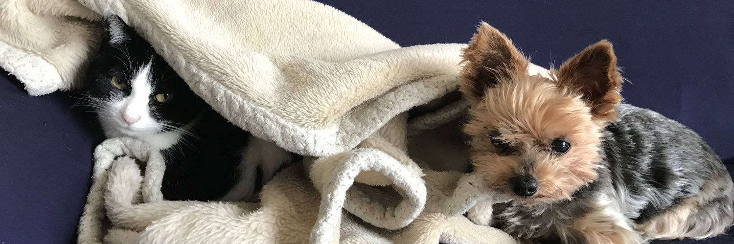 僕がゆき。 banner