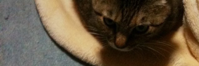 あるるかん banner