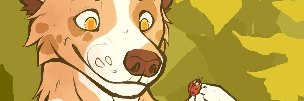 collie dog🌱 banner