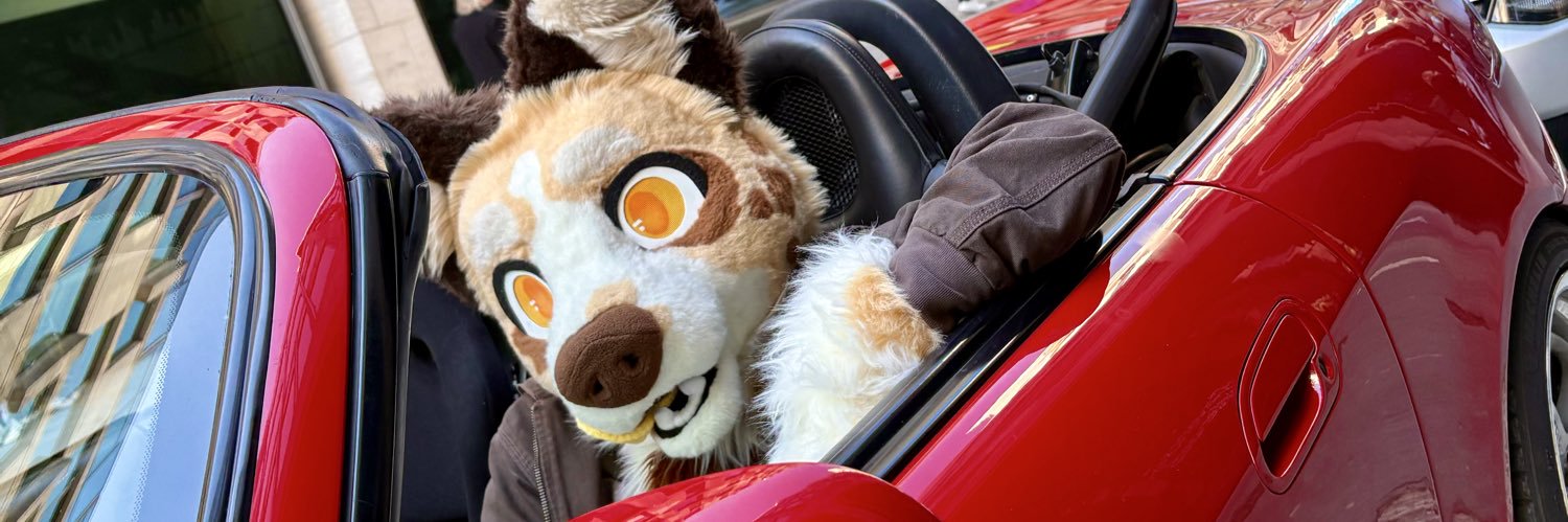 collie dog🌱 banner