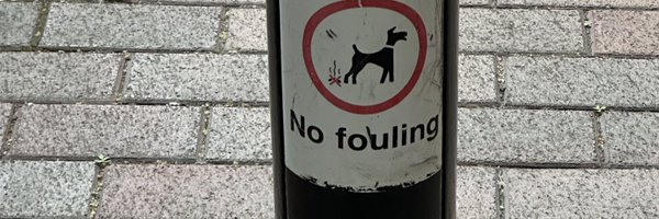 jestermaxxing Profile Banner