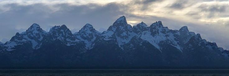 Chief4ever banner
