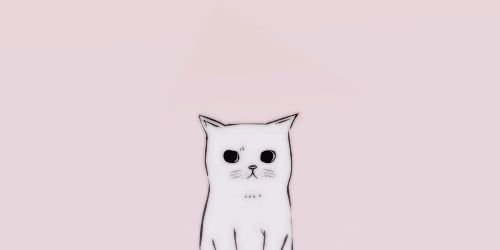 pikacho91's profile banner image